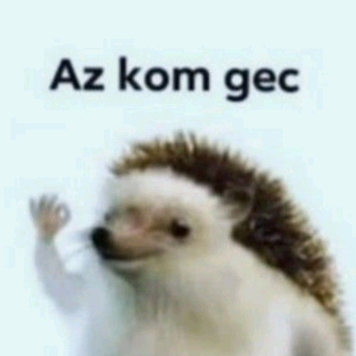 Az kom gec